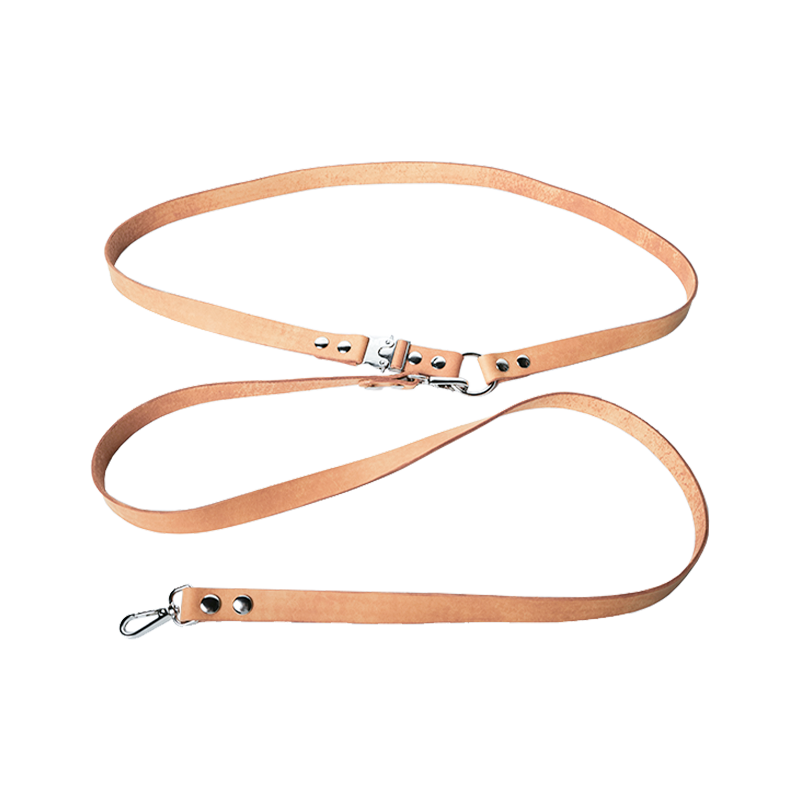 DIY Leather Harness-style Dog leash