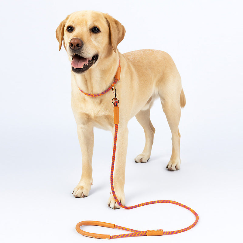DIY Hand-held leash (Nylon Rope)