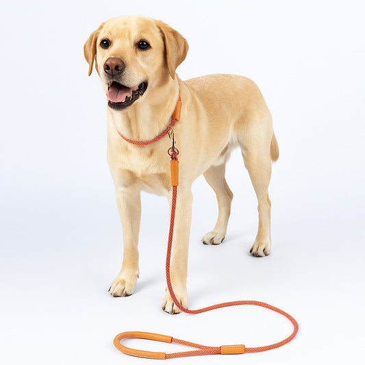 DIY Hand-held leash (Nylon Rope)