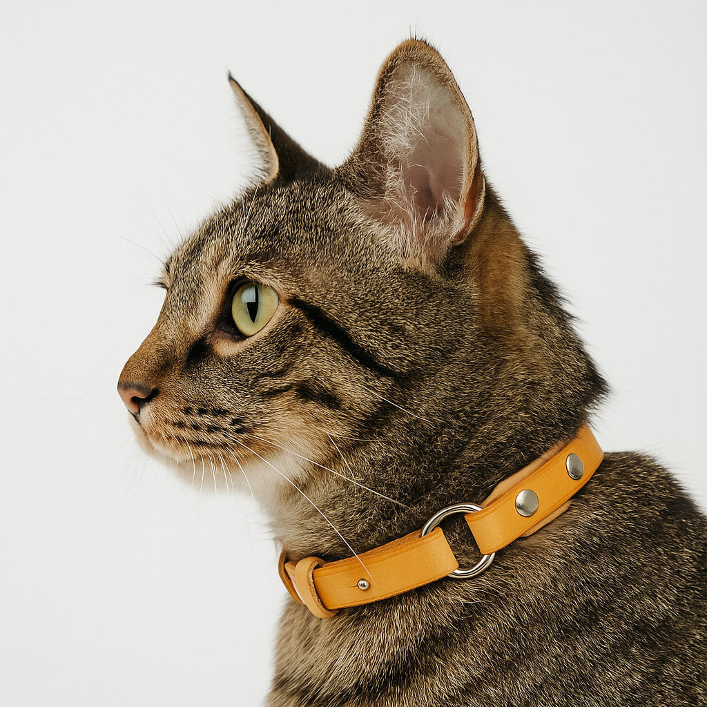 DIY Leather Splicing Cat Collar