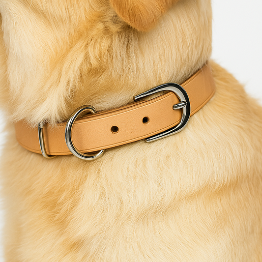 DIY Leather Dog Collar With Pin Buckle