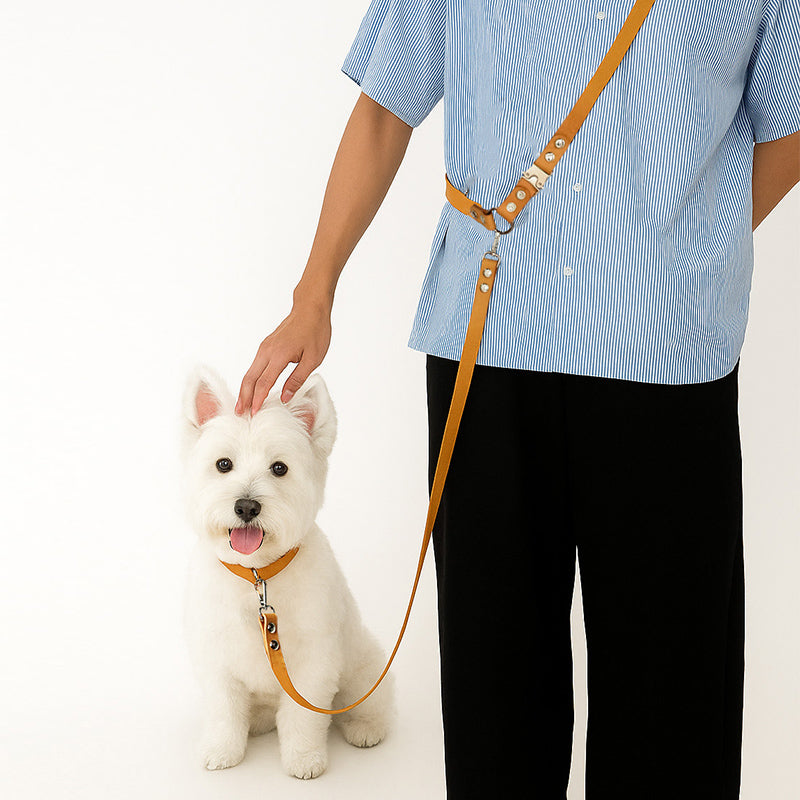 DIY Leather Harness-style Dog leash