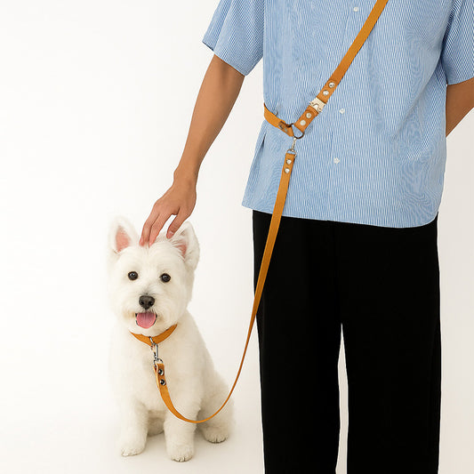 DIY Leather Harness-style Dog leash