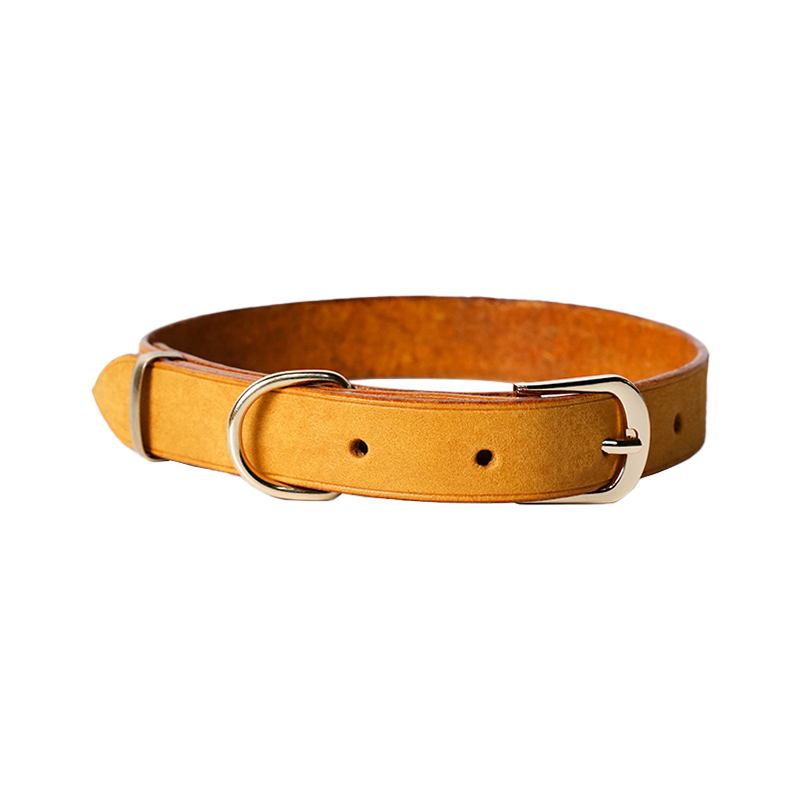 DIY Leather Dog Collar With Pin Buckle