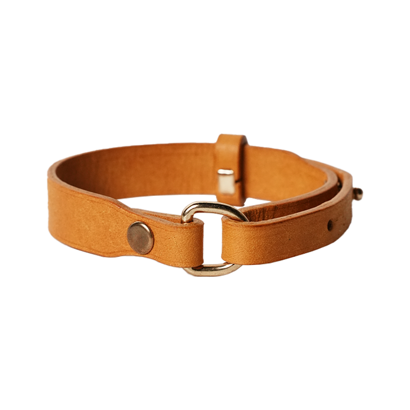 DIY Leather Cat Collar