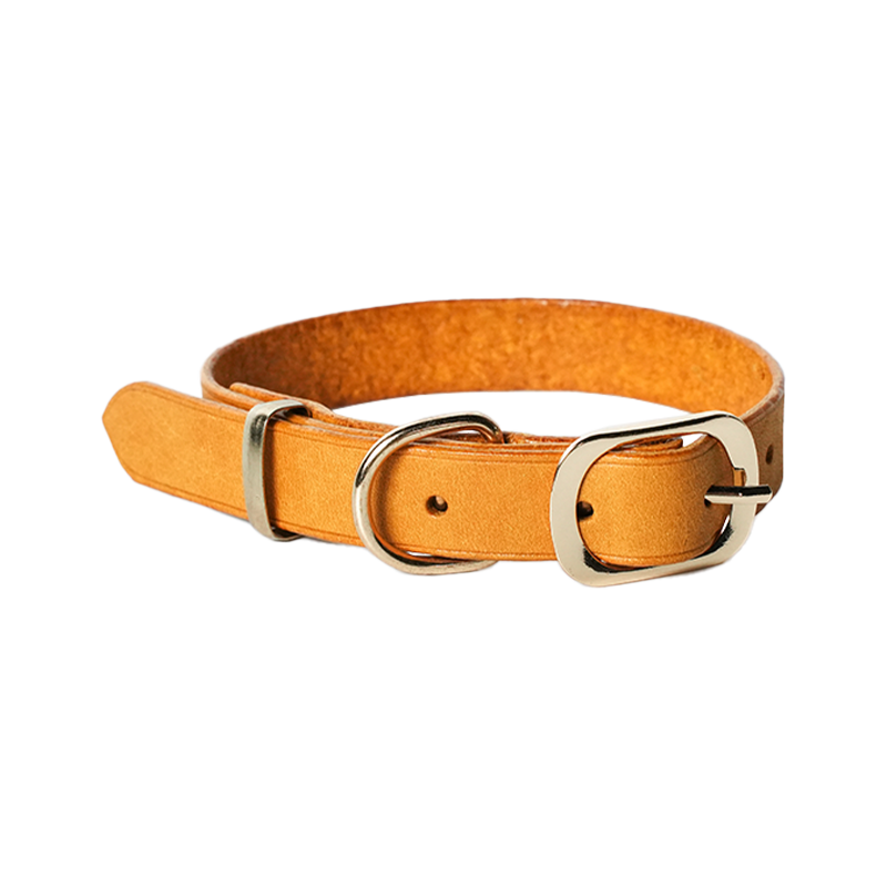 DIY Leather Dog Collar With Slide Buckle