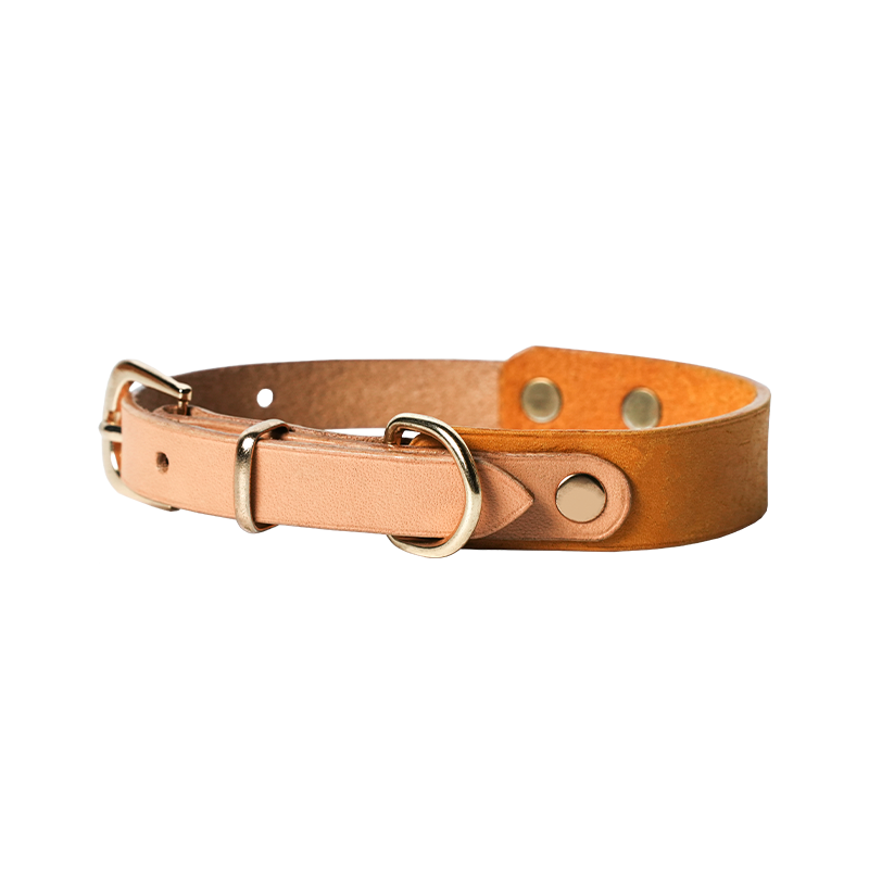 DIY Leather Vintage Dog Collar