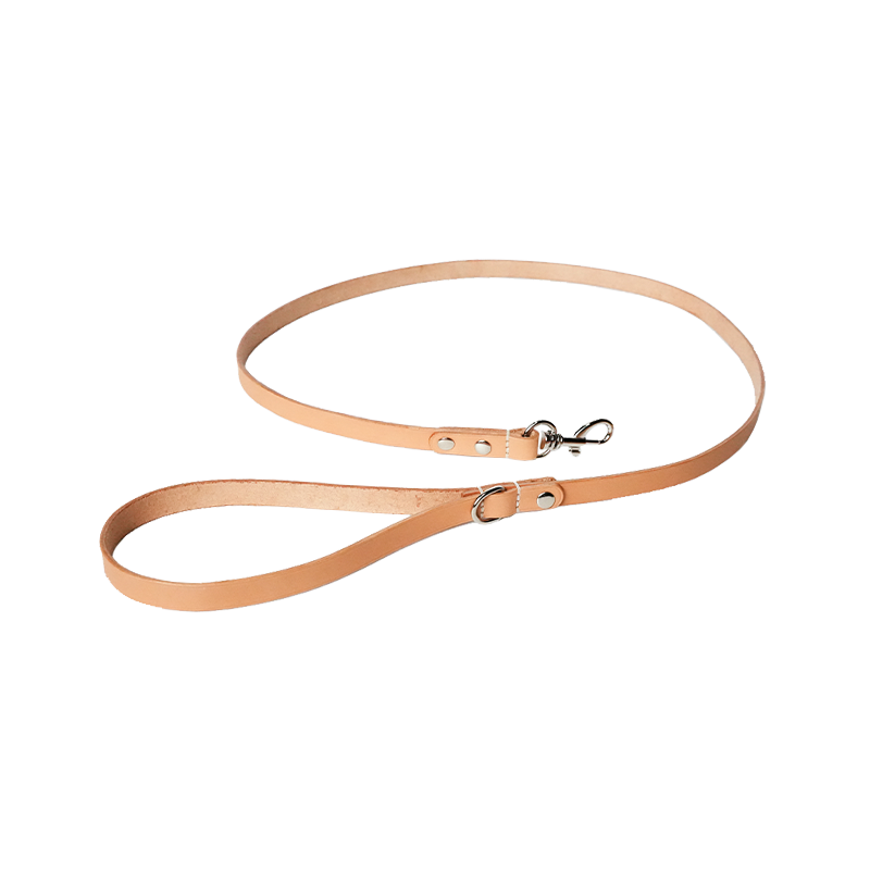 DIY Pet Hand-held Leash with Webbing Splicing Style