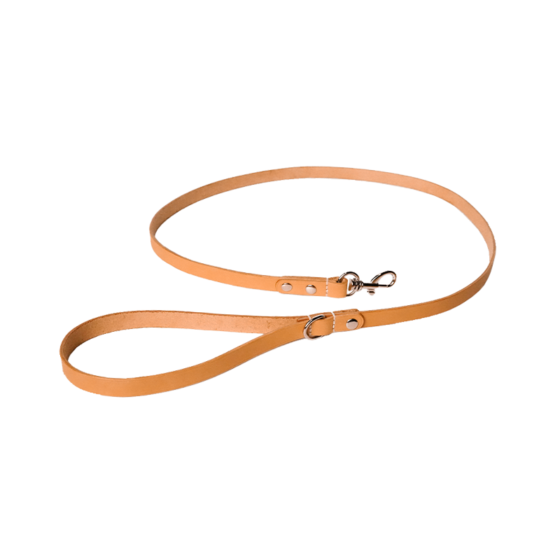 DIY Pet Hand-held Leash with Webbing Splicing Style