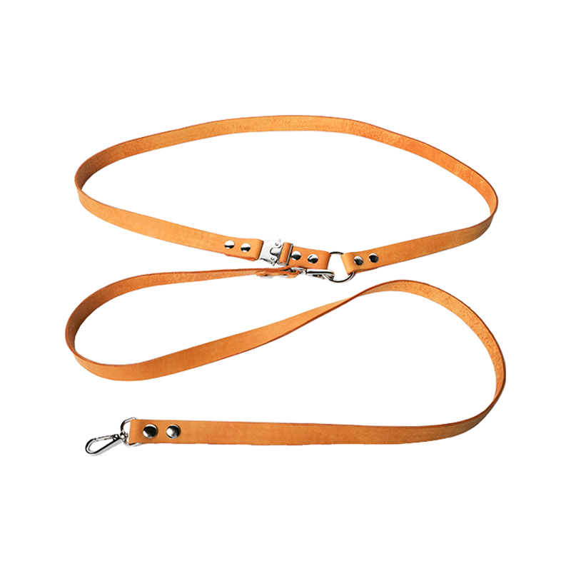 DIY Leather Harness-style Dog leash