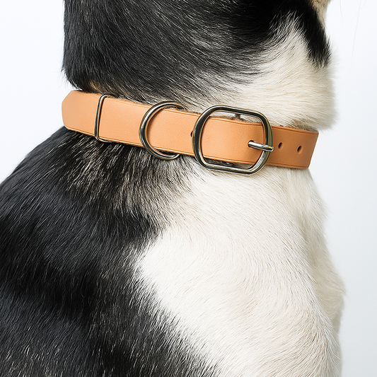 DIY Leather Dog Collar With Slide Buckle