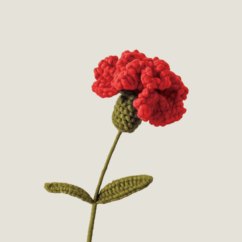 artseecrochet Carnation Crochet Kit