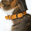 DIY Leather Cat Collar With Slide Buckle