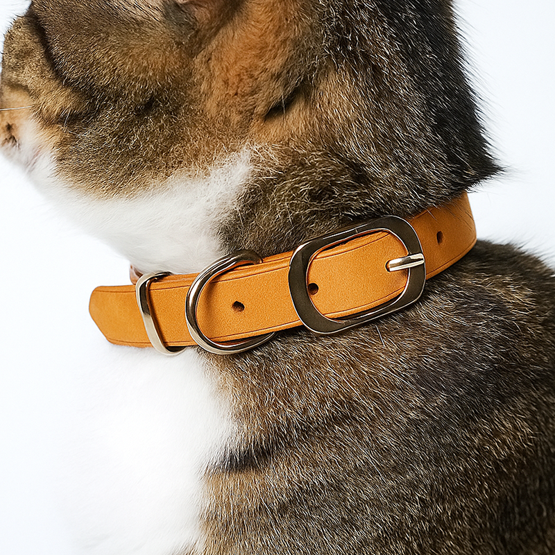 DIY Leather Cat Collar With Slide Buckle