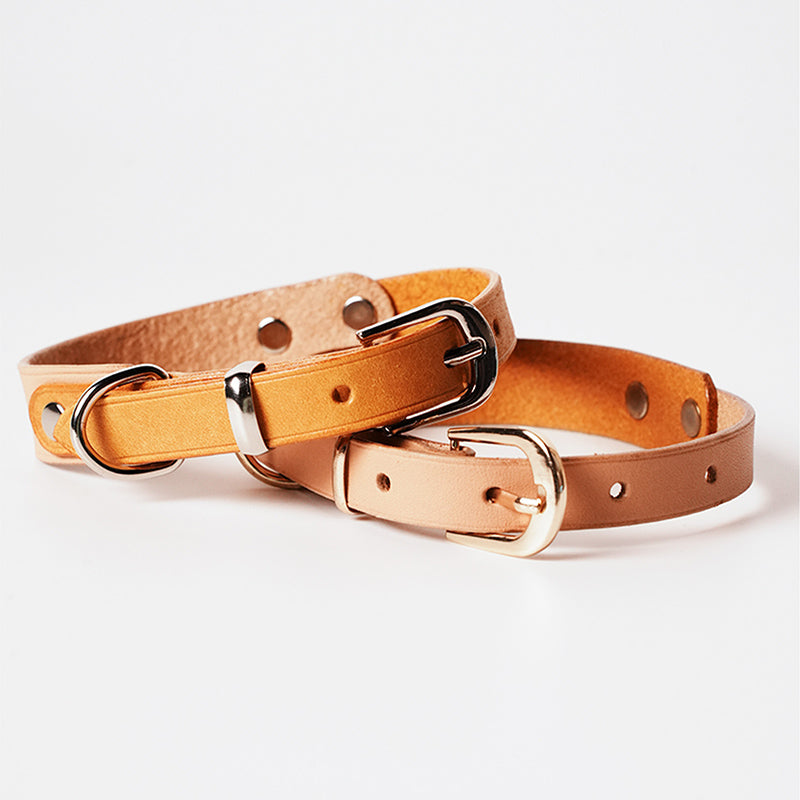 DIY Leather Vintage Dog Collar