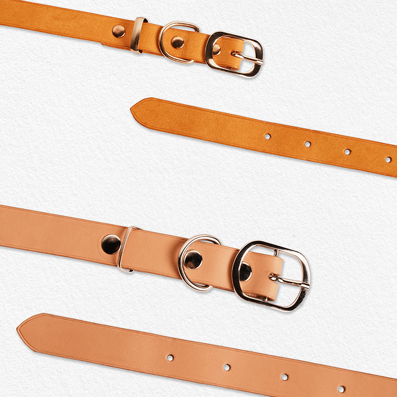 DIY Leather Cat Collar With Slide Buckle