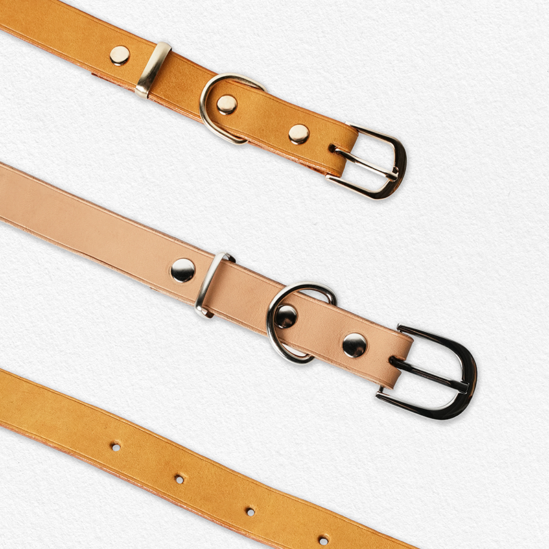 DIY Leather Dog Collar With Pin Buckle
