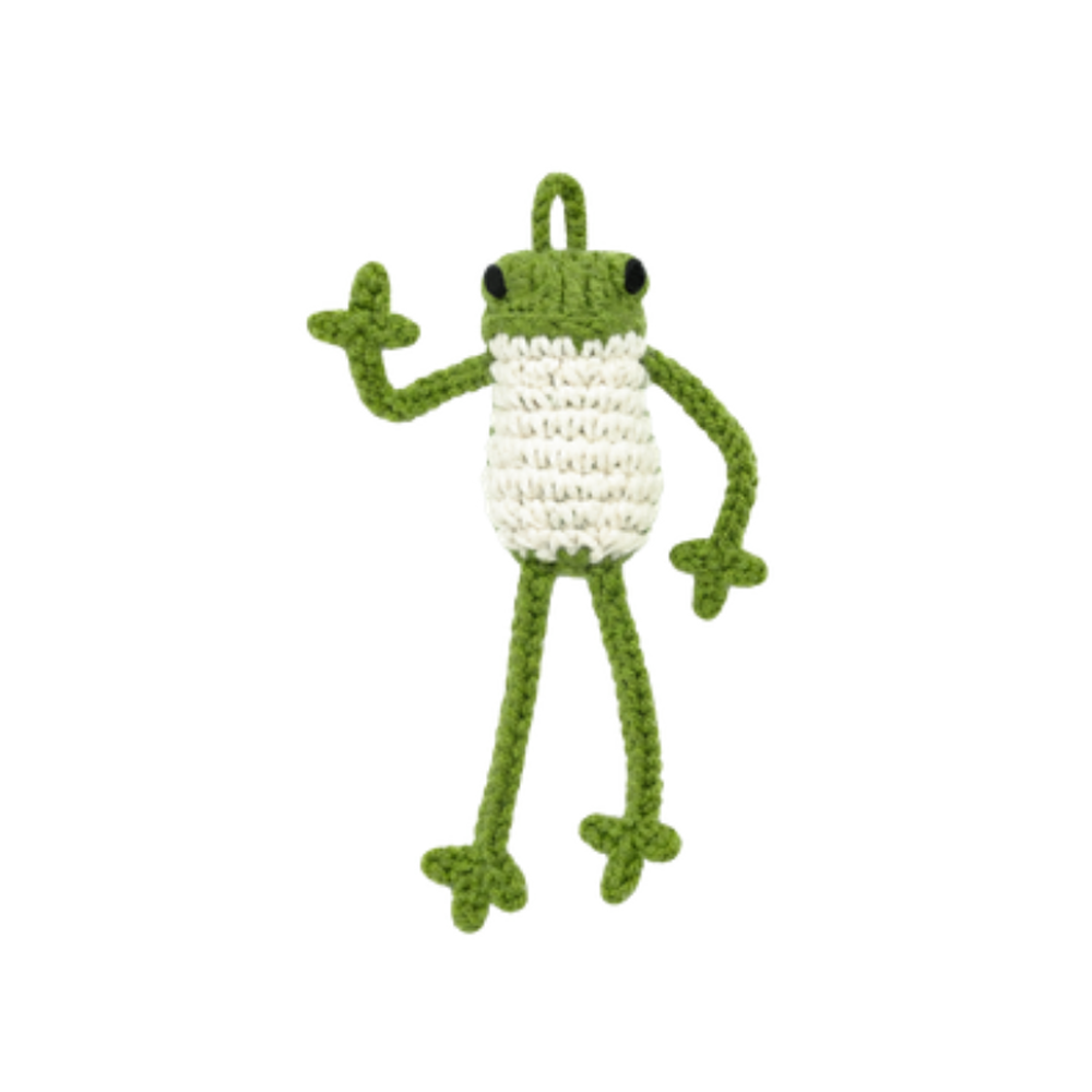 Long-legged frog crochet kit DIY craft set for handmade amigurumi toys and charms