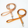DIY Pet Hand-held Leash with Webbing Splicing Style