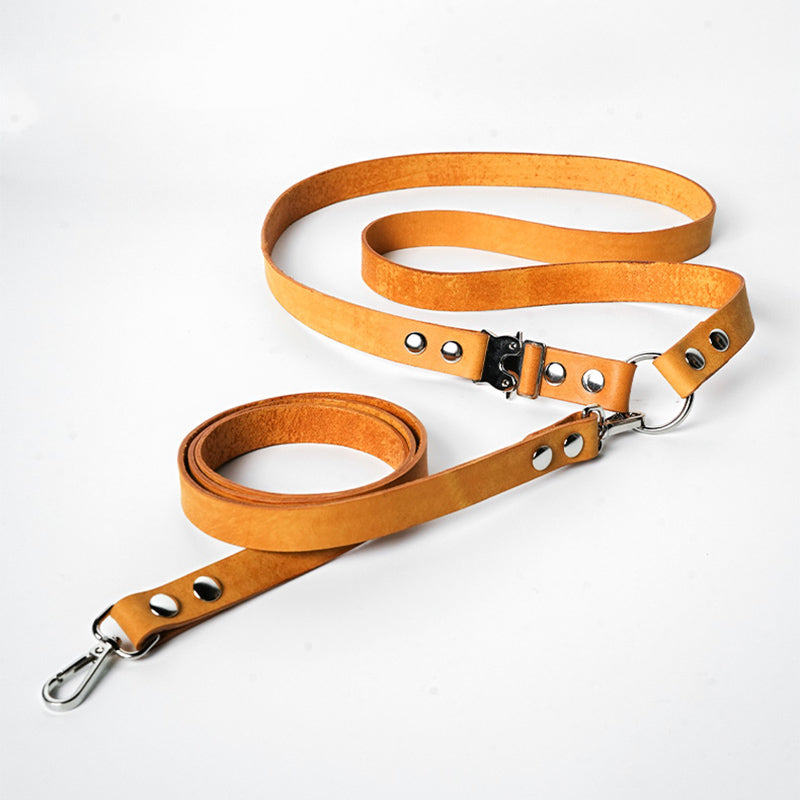 DIY Leather Harness-style Dog leash