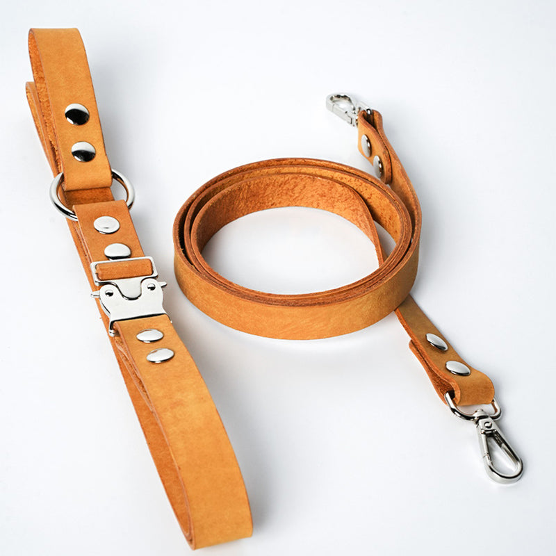 DIY Leather Harness-style Dog leash