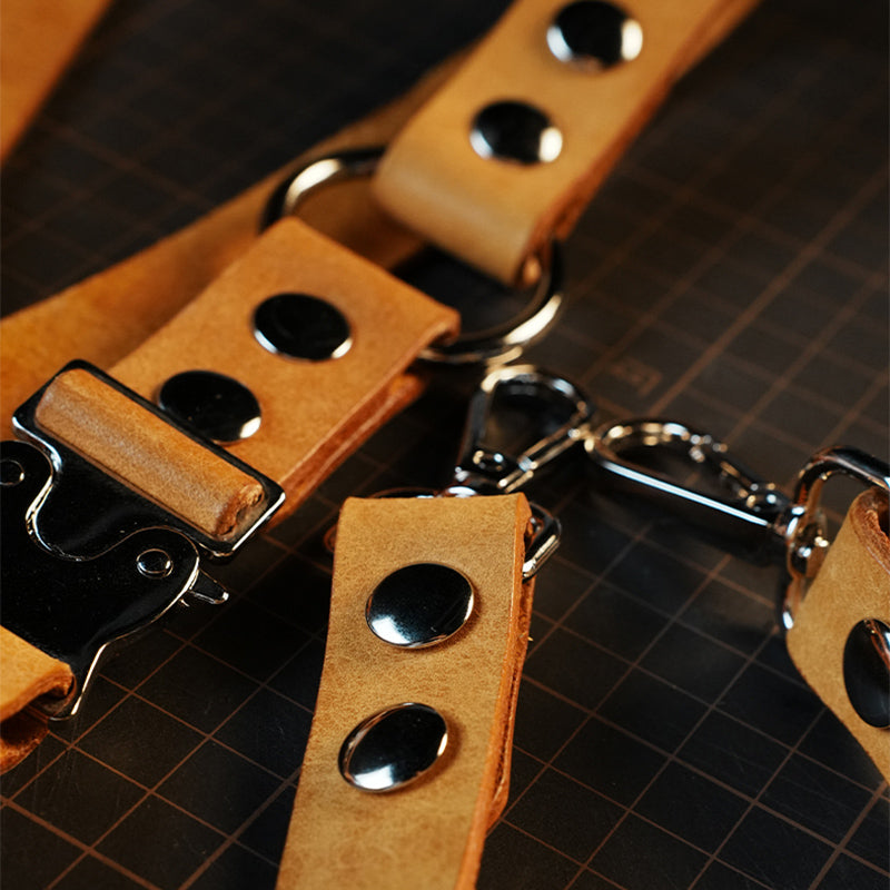 DIY Leather Harness-style Dog leash