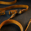 DIY Leather Harness-style Dog leash
