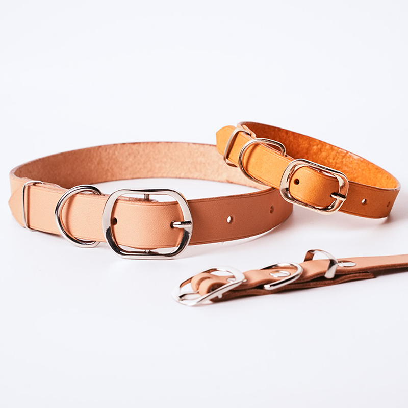 DIY Leather Cat Collar With Slide Buckle