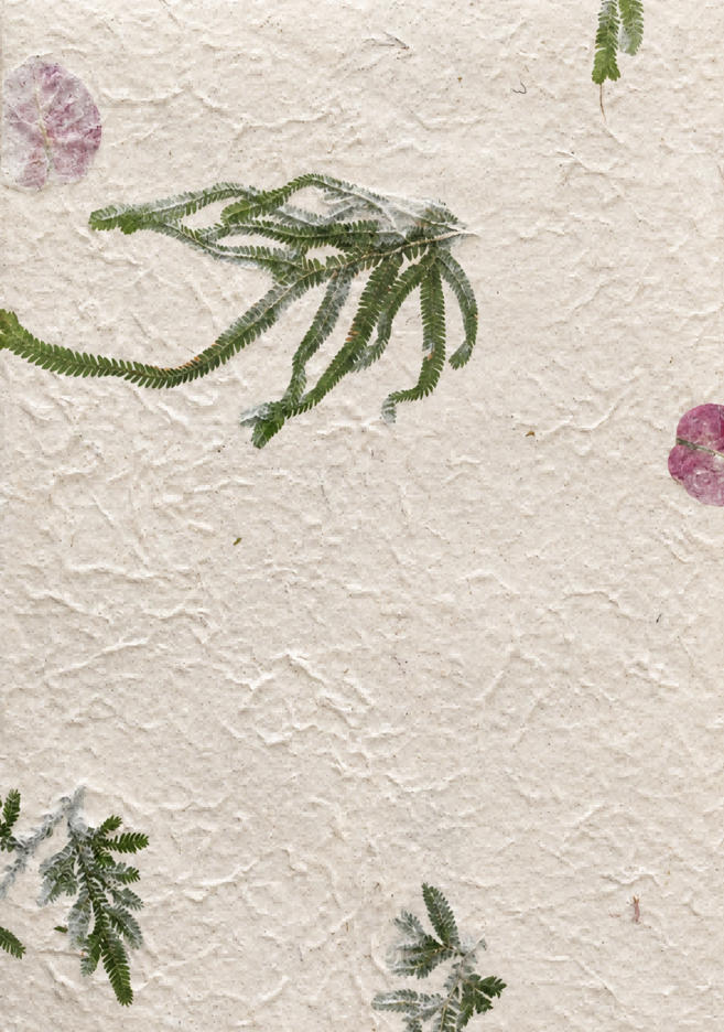 Ivory handmade botanical paper with pressed green fern fronds, flower petals and a textured surface