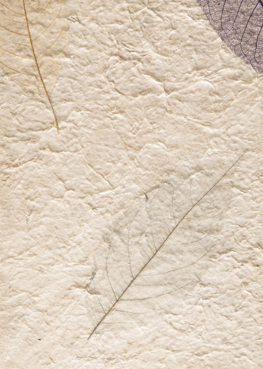 Colorful handmade botanical paper with delicate skeleton leaves, visible leaf veins and a textured surface