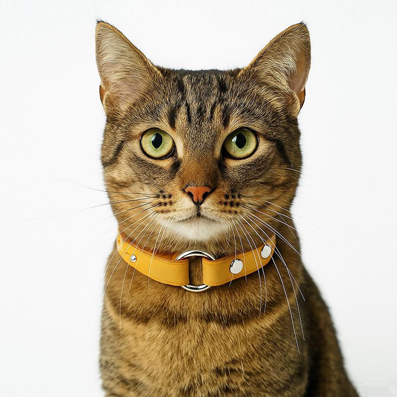 DIY Leather Splicing Cat Collar