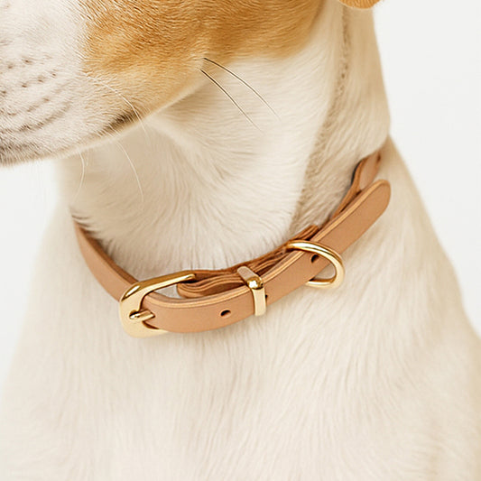 DIY Leather Vintage Dog Collar