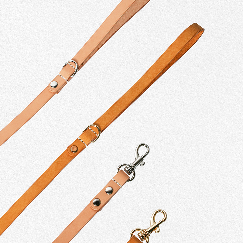 DIY Pet Hand-held Leash with Webbing Splicing Style