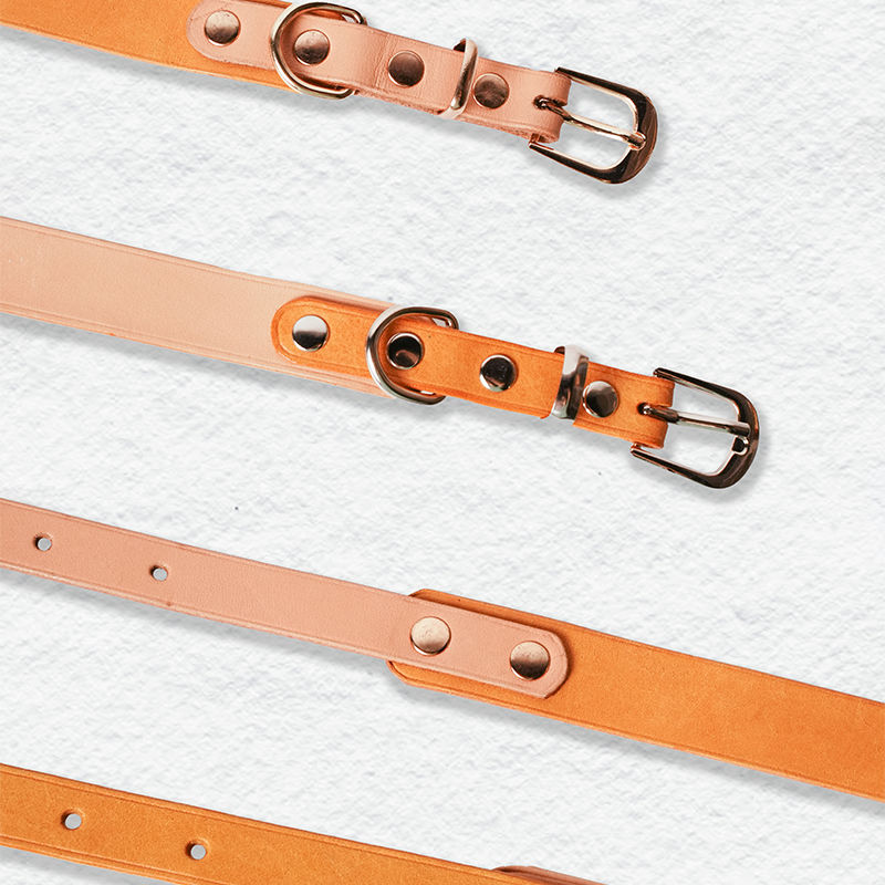 DIY Leather Vintage Dog Collar